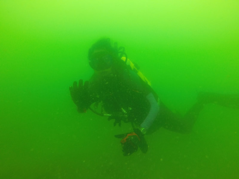Diving at Fort Wetherill State Park, Jamestown, Rhode Island. High turbidity day that the camera flash catches as vibrant green!